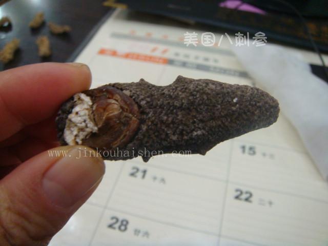 供應(yīng)八角海參公司電話，八角海參公司地址 美國海參肉參八角刺參元寶參八寶參 美國海參八角刺參元寶參八寶參批發(fā)