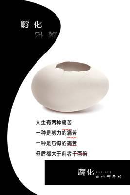 供應KT冷裱板/KT冷裱掛畫