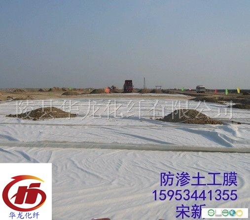 供應(yīng)防滲土工膜價格