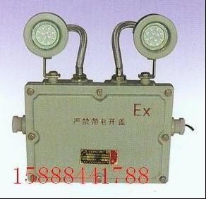 BAJ52防爆應(yīng)急燈BAJ52防圖片
