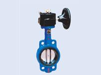 FDX信號(hào)蝶閥圖片