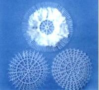 帶刺花環(huán)填料圖片