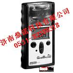 GB90EX可燃?xì)怏w檢測(cè)儀圖片
