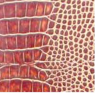 佛山壓花版報價圖片