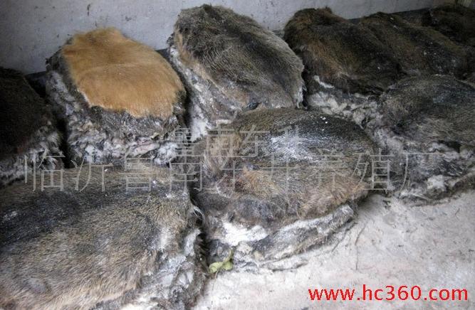 供應(yīng)出售*皮皮