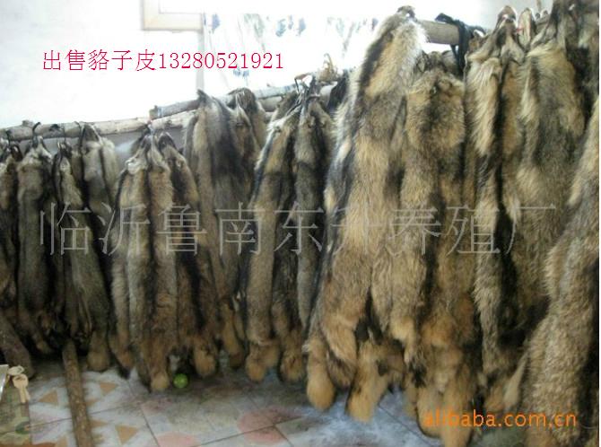 供應(yīng)山東*子絨