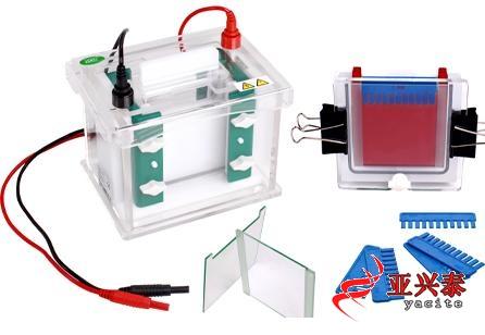 四板垂直電泳槽PN008218