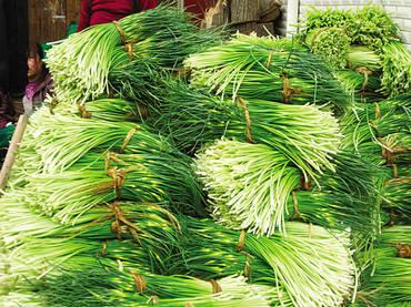 供應(yīng)白皮晚熟大蒜種子 大蒜漲價(jià) 大蒜蒜頭蒜薹高產(chǎn) 大蒜播種機(jī)