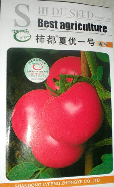 柿都夏優(yōu)一號(hào)番茄種子圖片