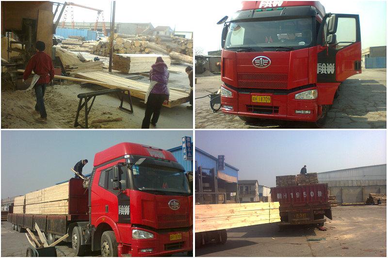 供應(yīng)木材輻射松應(yīng)