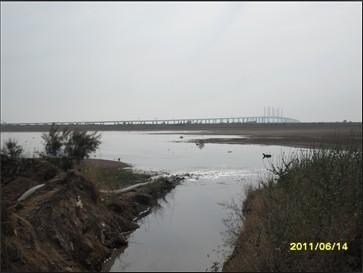 膠洲灣淤泥泥漿清理圖片