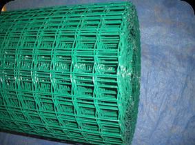 荷蘭網(wǎng)圖片