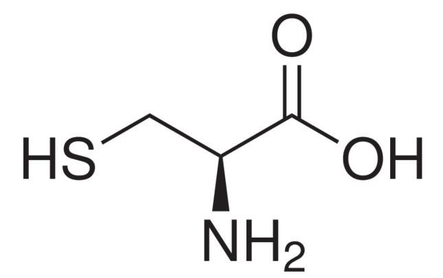 供应L-半胱氨酸 说明：生化及营养研究，制备组织培养基。