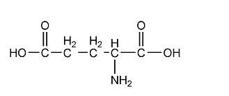 供应L-谷氨酸 CAS＃：56-86-0