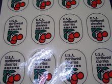 供應(yīng)日照熱轉(zhuǎn)印標(biāo)童裝環(huán)保無感標(biāo) 全*童裝環(huán)保無感標(biāo)印刷 標(biāo)童裝環(huán)保無感標(biāo)