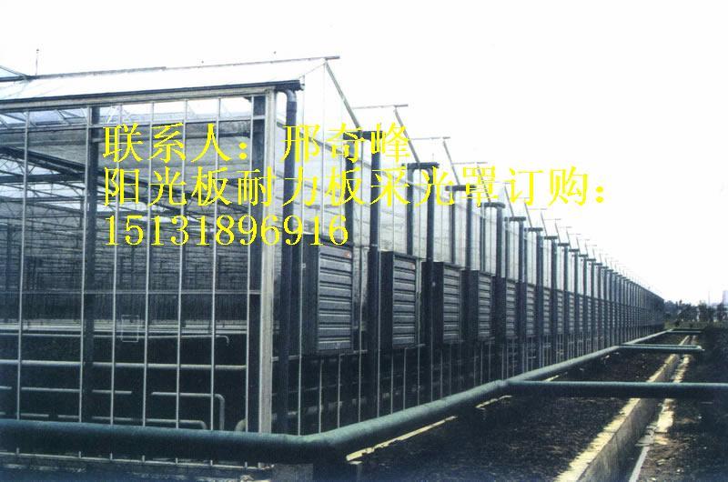 供應(yīng)黑河陽光板黑河陽光板黑河陽光板黑河陽光板‘黑河陽光板溫室’