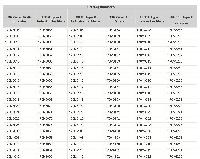 熔斷器170M3021bussmann保險絲