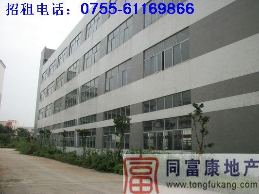 供應(yīng)深圳公明工業(yè)廠房