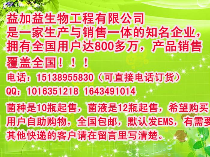 供应鸡粪成了宝益加益粪便发酵剂发酵鸡粪做生物饲料喂猪技术方法