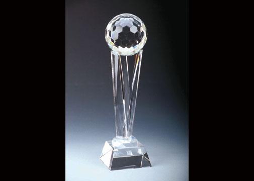 西安水晶獎(jiǎng)杯圖片/西安水晶獎(jiǎng)杯樣板圖 (4)