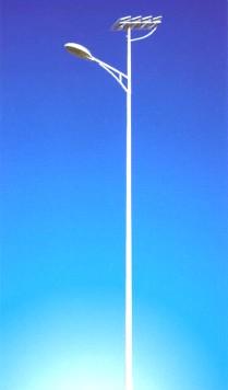 山東德州瑞誠路燈及庭院燈圖片