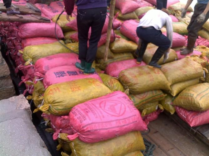 供應(yīng)常年尖螺批發(fā)