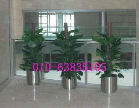 供應(yīng)4S店不銹鋼花盆