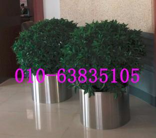 供應(yīng)不銹鋼花盆7