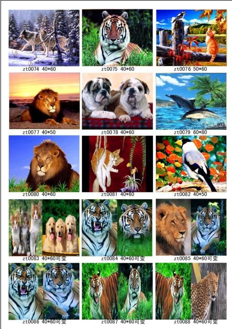 供應(yīng)香港三維立體廣告制作技術(shù)培訓，三維立體畫