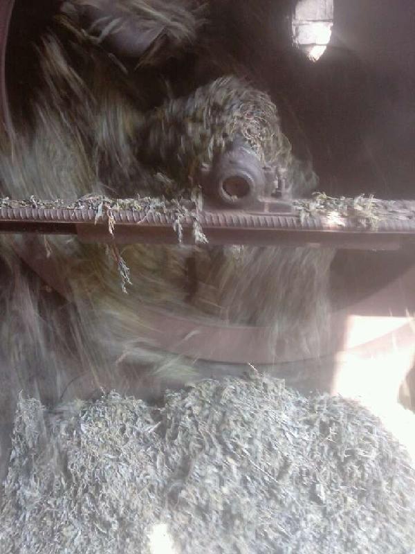 供應(yīng)*茅巖莓，*茅巖莓廠家，*茅巖莓供應(yīng)商，*茅巖莓產(chǎn)地價(jià)格