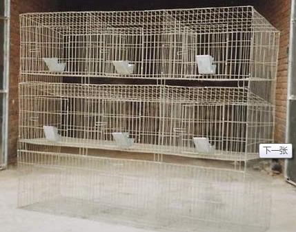 供應(yīng)兔籠的價格 寵物兔籠價格 兔籠價格規(guī)格 批發(fā)兔籠價格 優(yōu)兔籠