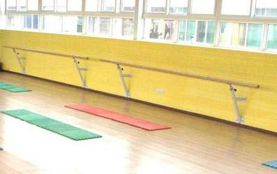 供應(yīng)黑龍江“勝者牌”移動式舞蹈把桿