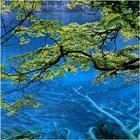 供應(yīng)九寨溝旅游自助游全攻略