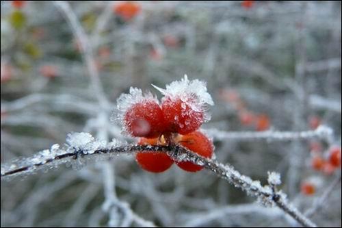 2012九寨溝還是那樣美麗圖片