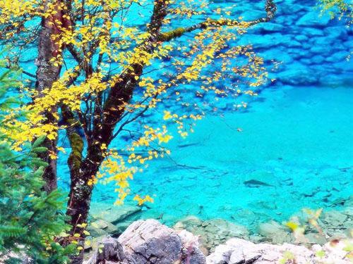 供應(yīng)春季九寨之旅自助游全攻略-九寨溝旅游自助游租車-九寨溝自由行租車