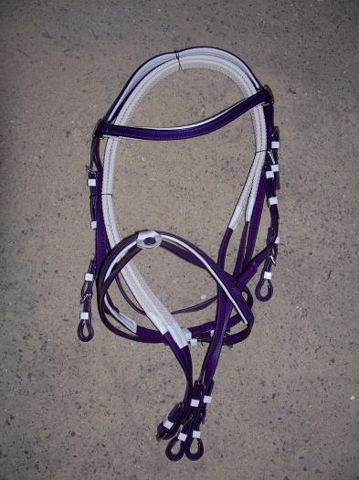 供應(yīng)PVC速賽韁 東莞PVC馬具供應(yīng)商 批發(fā)馬術(shù)用品