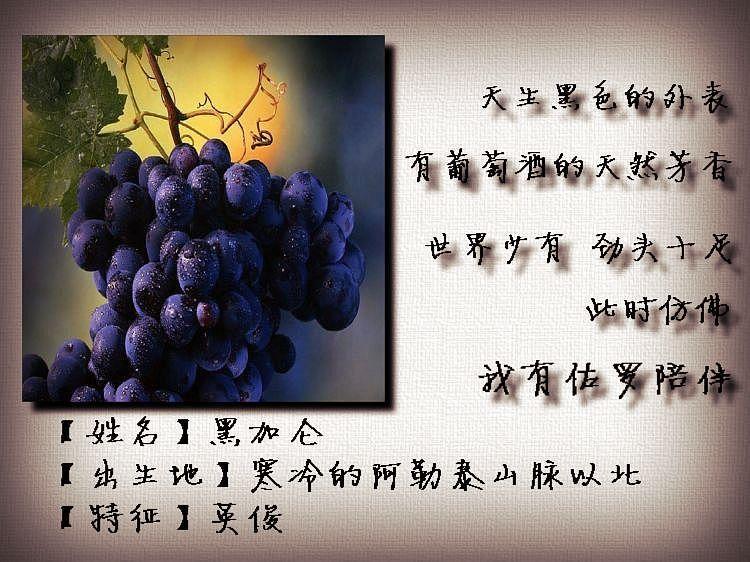 供應(yīng)*黑加侖葡萄干價(jià)格/黑加侖葡萄干*/深圳黑加侖葡萄干批發(fā)