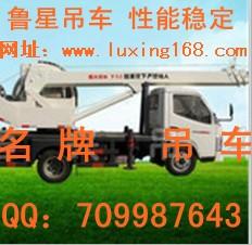 供應(yīng)小吊車小型吊車魯星吊車好