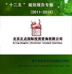 中國有色金屬礦產(chǎn)開發(fā)產(chǎn)業(yè)十一五回