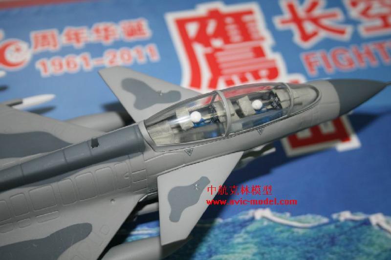 殲10模型圖片/殲10模型樣板圖 (4)