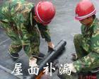 供應(yīng)上海嘉定區(qū)廠房維修防水補(bǔ)漏管道維修安裝