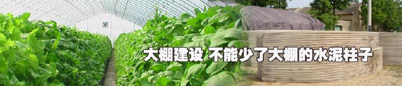 葡萄架柱子圖片/葡萄架柱子樣板圖 (4)