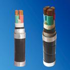 供應(yīng)安徽KVVP2-22控制電纜廠家