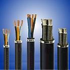 供應(yīng)安徽合肥DJYVP32對(duì)電纜DJYVPR 2×2×1.0