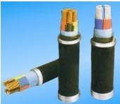供應(yīng)阻燃型電力電纜ZRVV224 50電纜廠家