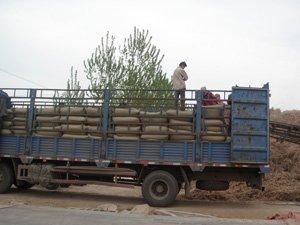 供應(yīng)養(yǎng)羊飼料養(yǎng)羊飼料產(chǎn)品原料