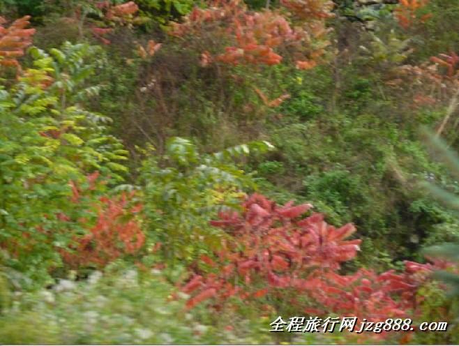 九寨沟旅游攻略九寨沟自助游攻略厂家供应九寨沟旅游攻略九寨沟自助游攻略