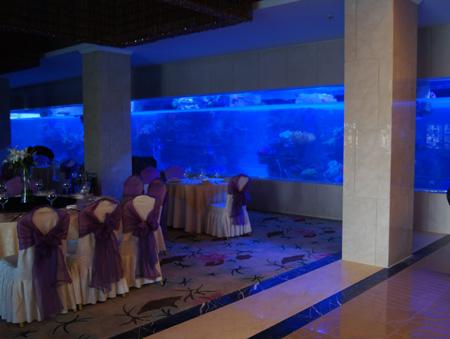 供應(yīng)海洋酒店餐廳亞克力魚缸