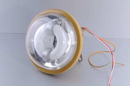 供應(yīng)福建省福州市免維護(hù)節(jié)能防爆燈價(jià)格  免維護(hù)節(jié)能防爆燈廠家