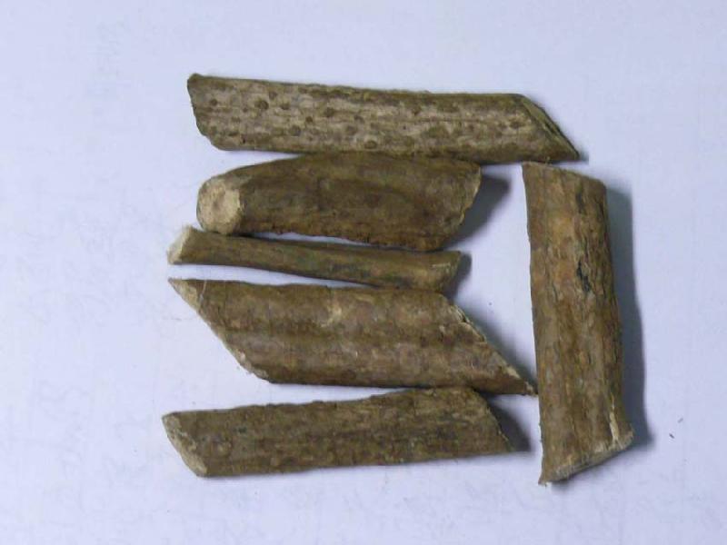 供應(yīng)烏龍?zhí)倥l(fā)野葡萄根批發(fā)